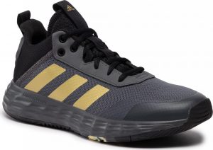 adidas Ownthegame 2.0 GW5483